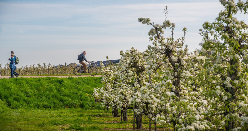 omgeving