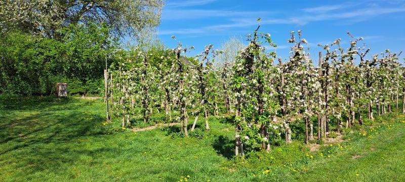 omgeving
