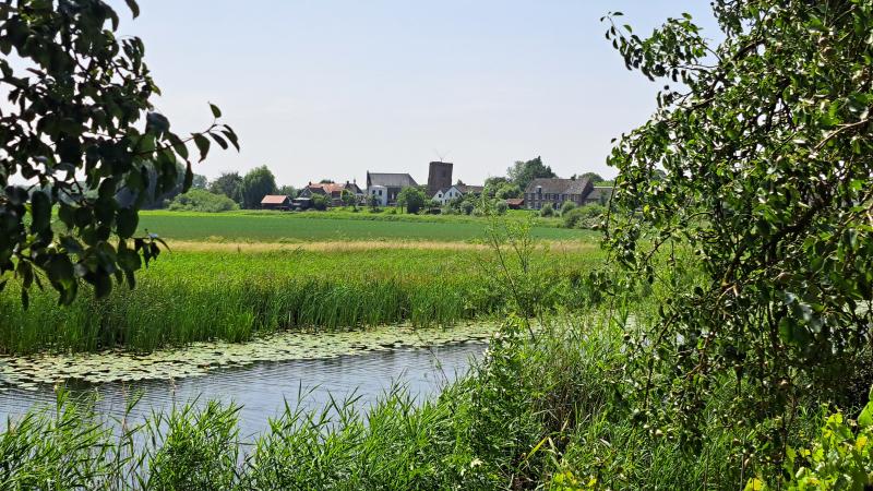 omgeving