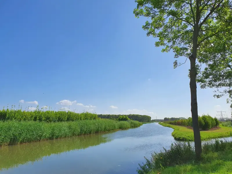 Sloep bij zonsondergang