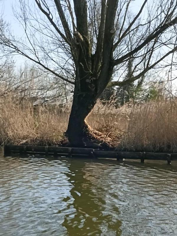 Foto van pagina Over sloepverhuurheukelum
