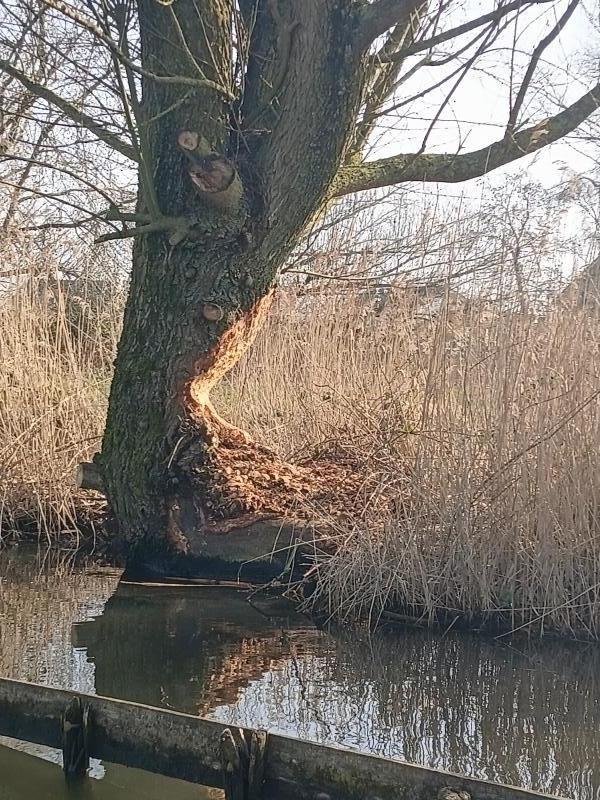 Sloep bij zonsondergang