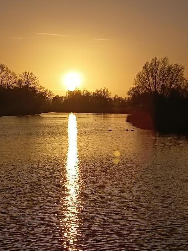 Foto van pagina De omgeving