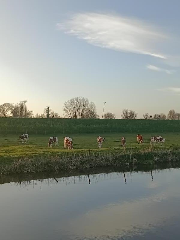 Foto van pagina De omgeving