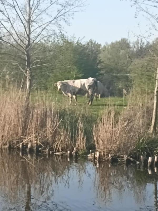 Foto van pagina De omgeving