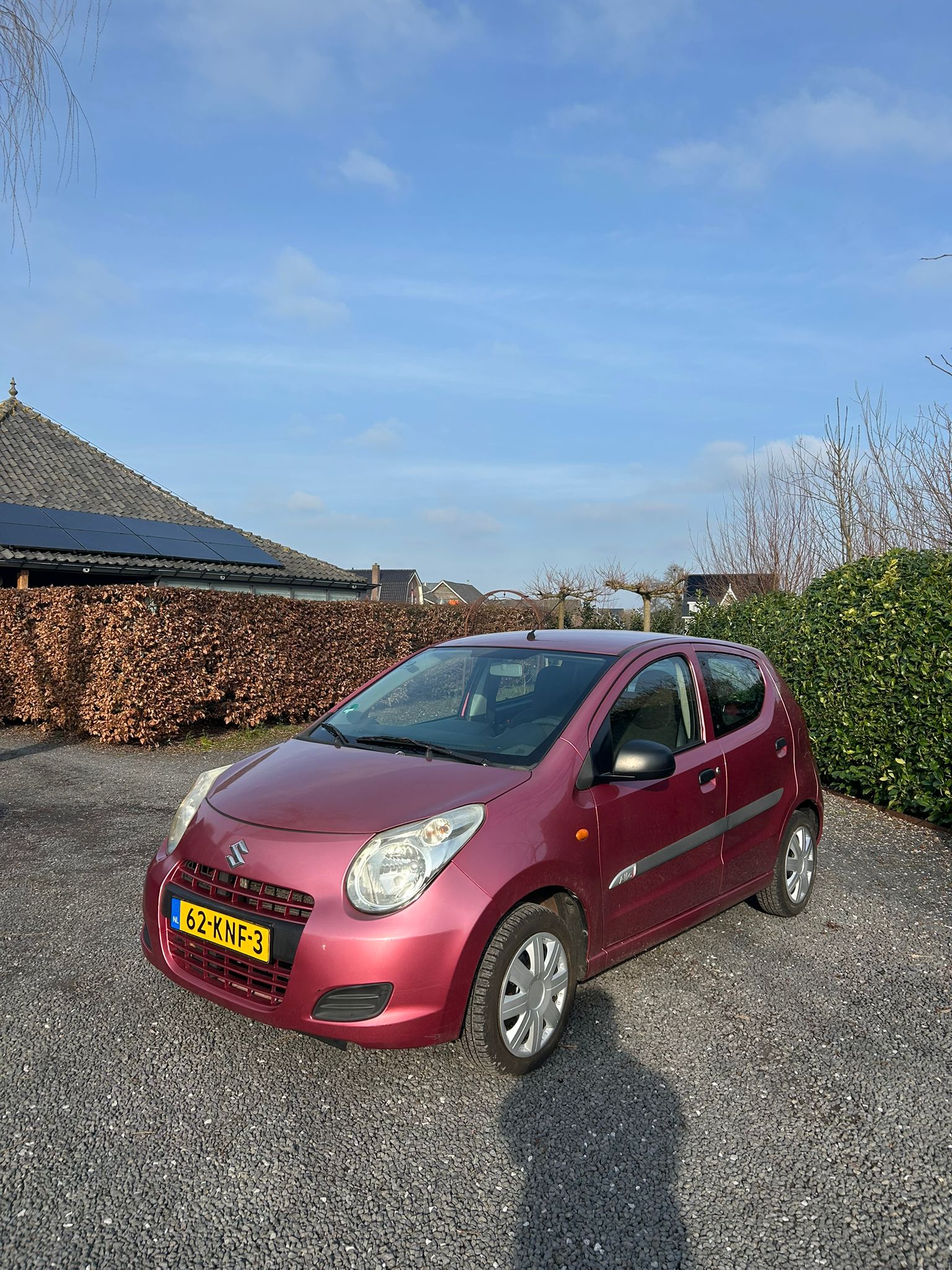 Suzuki alto
